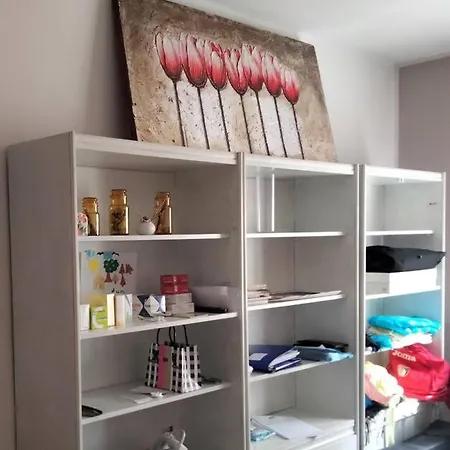 Daniele's Flat In Venice メストレ